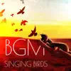BGM Singing Birds: Soothing Instrumental Music for Relaxation, Stress Relief & Woodland Mood, Morning Breeze album lyrics, reviews, download