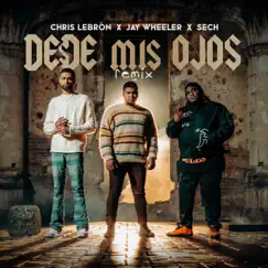 Desde Mis Ojos (Remix) - Single by Chris Lebron, Sech & Jay Wheeler album reviews, ratings, credits