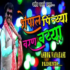 Shepal Pintya Varan Batya - Single by ASHOK VANARASE album reviews, ratings, credits