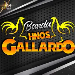 No voy a trabajar - EP by Banda Hnos Gallardo album reviews, ratings, credits