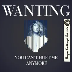 You Can't Hurt Me Anymore (Napa Cabbage Remix) - Single by Wanting album reviews, ratings, credits