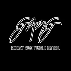 Gang (feat. Zuse, Yung Lb & Fat Trel) - Single by Moeazy album reviews, ratings, credits