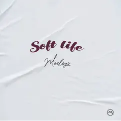 Soft Life (feat. Chinko Ekun) Song Lyrics