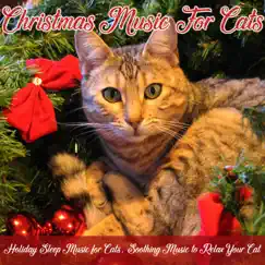Christmas Music for Cats: Holiday Sleep Music for Cats, Soothing Music to Relax Your Cat by RelaxMyCat & Cat Music Dreams album reviews, ratings, credits