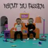 Nicht zu Fassen album lyrics, reviews, download