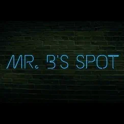 Mr. B's Spot - Single by Bruce Big Daddy Wayne album reviews, ratings, credits
