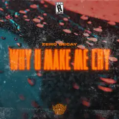 Why U Make Me Cry - Single by Zero Decay album reviews, ratings, credits