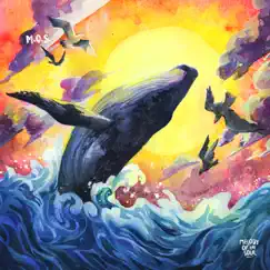 A Little Story About Big Whale Song Lyrics