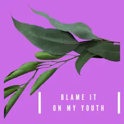 Blame It on My Youth - Single by Ivan Bielsa & Timothy Reiger album reviews, ratings, credits