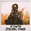 If You're Feeling Down - Single album lyrics, reviews, download