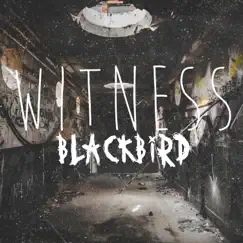 Blackbird - Single by WITNESS album reviews, ratings, credits