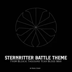 Sternritter Battle Theme (From 