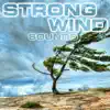 Strong Wind Sounds (feat. OurPlanet Soundscapes, Paramount Nature Soundscapes, Paramount Soundscapes, Paramount White Noise Soundscapes & White Noise Plus) album lyrics, reviews, download