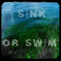 Sink or Swim - Single by Vikelas Carey album reviews, ratings, credits