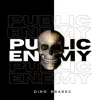 Public Enemy (Radio Edit) - Single album lyrics, reviews, download