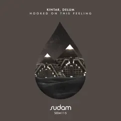 Hooked on this feeling - Single by KINTAR & Delum album reviews, ratings, credits