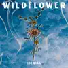 Wildflower - Single album lyrics, reviews, download