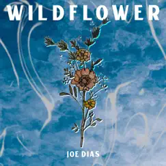 Wildflower - Single by Joe Dias album reviews, ratings, credits