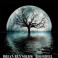 Big Chill by Brian Reynolds album reviews, ratings, credits