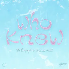 Who Knew - Single by The Endorphins & Zack Hall album reviews, ratings, credits