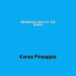 Meanwhile Back At the Ranch - Single by Korea Pineapple album reviews, ratings, credits