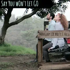 Say You Won't Let Go - Single by Mahogany Lox & Pete Mata album reviews, ratings, credits