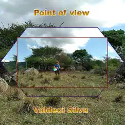 Point of View - Single by Valdeci Silva album reviews, ratings, credits