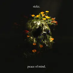 Peace of Mind - Single by Sickz album reviews, ratings, credits