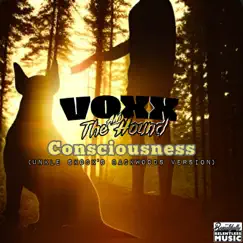 Consciousness (Unkle Skock's Backwoods Version) Song Lyrics