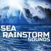 Sea Rain Storm Sounds (feat. Nature Sounds Explorer, Ocean Soundzz, OurPlanet Soundscapes, Paramount Soundscapes, Paramount White Noise & White Noise Plus) album lyrics, reviews, download