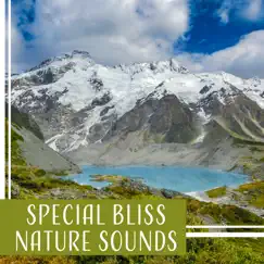 Special Bliss Nature Sounds: Calm Music for Relaxation, Healthy Sleep, Meditation & Stillness, Tranquil Oasis, Power of Mind, Little Reflections, Zen Buddha, Body Massage by Various Artists album reviews, ratings, credits