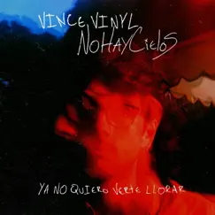 Ya No Quiero Verte Llorar (feat. NOHAYCIELOS) - Single by Vince vinyl album reviews, ratings, credits