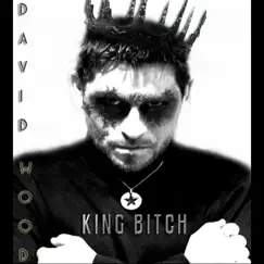 King Bitch - Single by David Wood album reviews, ratings, credits