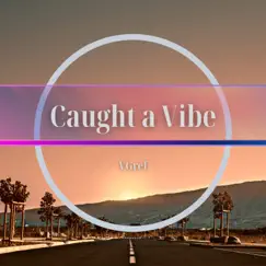Caught a Vibe - Single by VGref album reviews, ratings, credits
