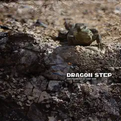 Dragon Step - Instrumental Hip Hop (feat. Fidel Ten & Тимур Басов) - Single by Камиль Скрипка album reviews, ratings, credits