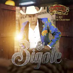 El Bigote (Zapateado) Song Lyrics