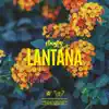 Lantana - Single album lyrics, reviews, download