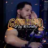 Catarino y los Rurales - Single album lyrics, reviews, download