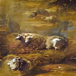 Sheeps On the Field Song Lyrics