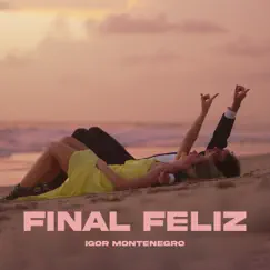 Final Feliz - Single by Igor Montenegro album reviews, ratings, credits
