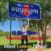 12 Bar Blues (feat. Blind Lemon Pledge) - Single album lyrics, reviews, download