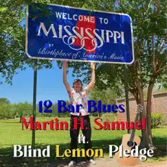 12 Bar Blues (feat. Blind Lemon Pledge) Song Lyrics