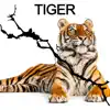 Tiger - Single album lyrics, reviews, download