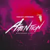 Attention (with Justin Bieber) [Disclosure Remix] - Single album lyrics, reviews, download