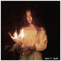 Burn It Down - Single by Kat Hasty album reviews, ratings, credits