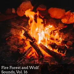 Fire Burning at Night Song Lyrics