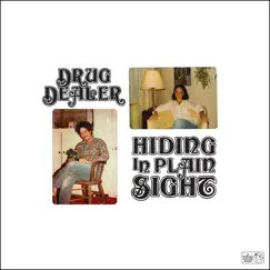 Hiding in Plain Sight by Drugdealer album reviews, ratings, credits
