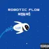 Robotic Flow - Single album lyrics, reviews, download