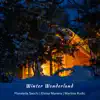 Winter Wonderland - Single album lyrics, reviews, download