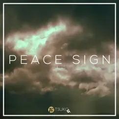 Peace Sign (Instrumental) Song Lyrics